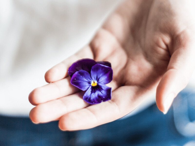 messaging clarity- rooted in your truth - confident