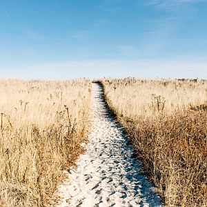 guided clarity - not guessing - path through dunes<br />
