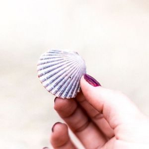 guided clarity - not guessing - path through dunes<br />
