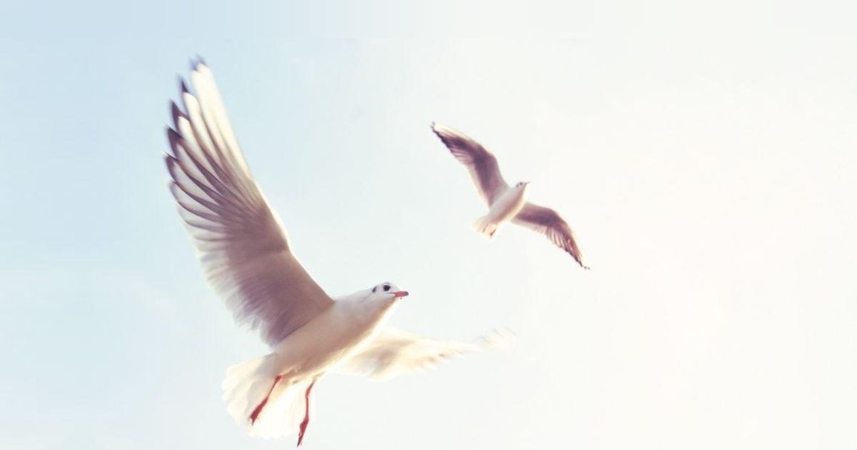 Flow Over Force: Why Your Business can Grow Faster When You Slow Down