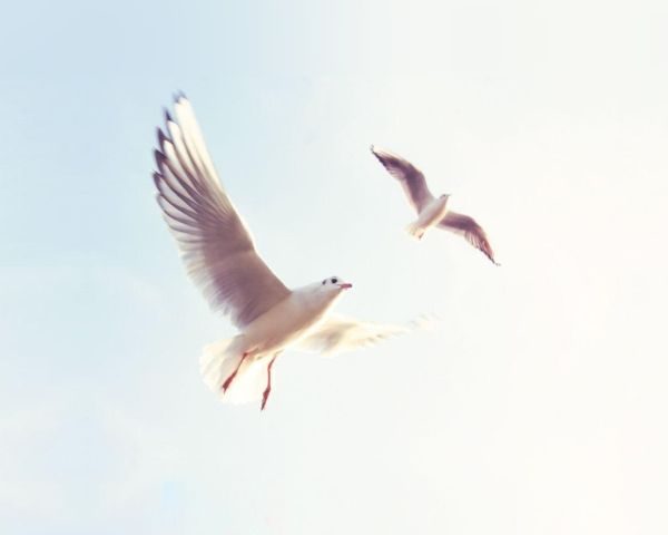 Flow Over Force: Why Your Business can Grow Faster When You Slow Down
