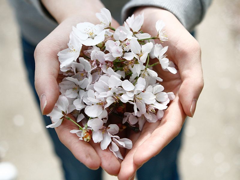Messaging clarity is a superpower for heart-centred business owners