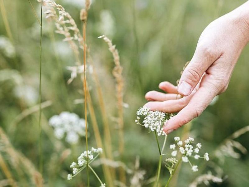 Messaging clarity is a superpower for heart-centred business owners